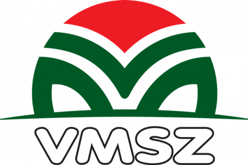 A VMSZ Vučićot támogatja