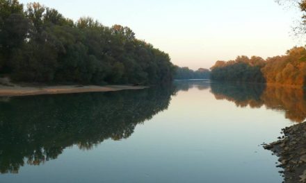 Megdöbbentő, mit talált a Tisza vizében egy új vizsgálat