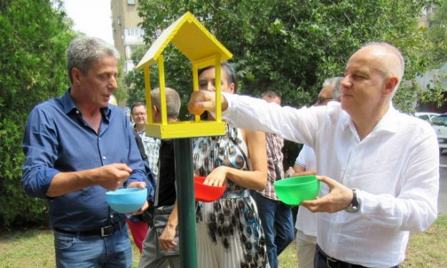 Belgrád: A polgármester madárházikókat adott át