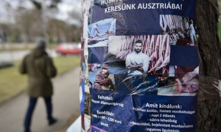 Kiürül a Vajdaság – Nyugat-Európába tartanak a magyar fiatalok