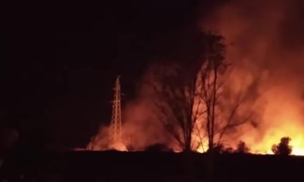 Az áramszünet miatt csaphattak fel a lángok Újvidék határában (Videó)