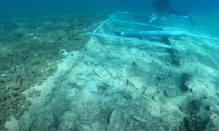 Hétezer éves út maradványait találták meg horvát régészek a tenger alatt