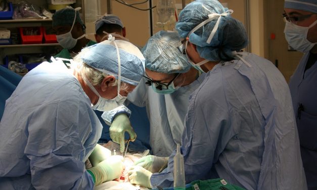 Könnyebbé válhat a szervátültetés?