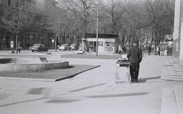 Te megértenéd még azokat a szavakat, amelyek dédanyáinknak is újak voltak?