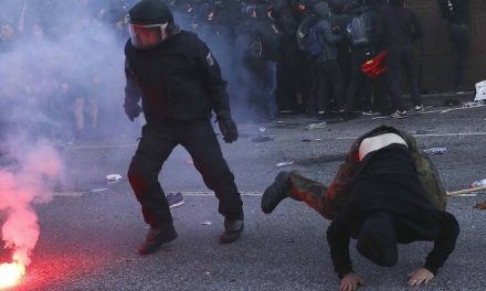 <span class="entry-title-primary">Összecsaptak a tüntetők a rendőrökkel Hamburgban</span> <span class="entry-subtitle">Globalizációellenes demonstráció a G20-as csúcs előestéjén</span>