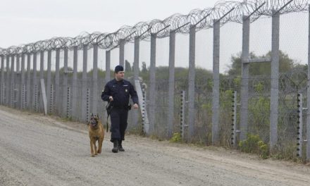 Több mint ezernégyszáz határsértőt toloncoltak vissza Szerbiába a hétvégén