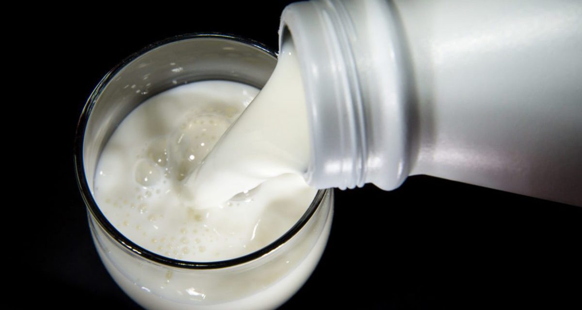 Külföldi tej került a szerbiai boltok polcaira