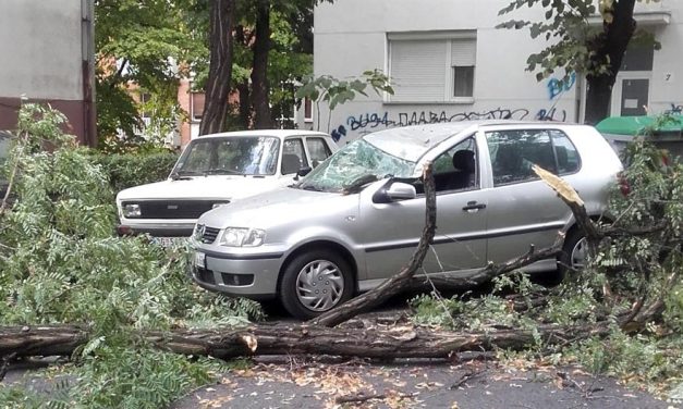 Ítéletidő Szerbiában – Újvidéken faágak és konténer az úttesten