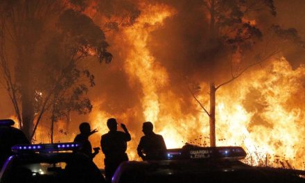 Harminc emberéletet követelt a portugál és spanyol erdőtűz