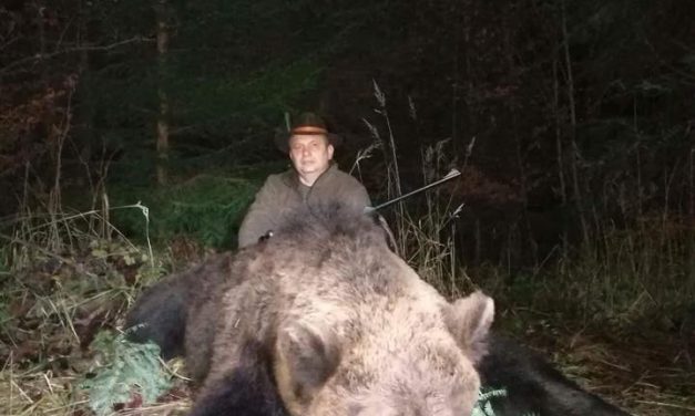 Több mint száz állatot ölt meg a medve, most kilőtték