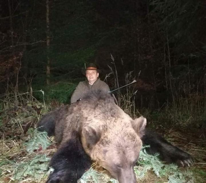 Több mint száz állatot ölt meg a medve, most kilőtték