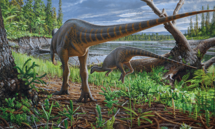 Pulyka méretű dinoszaurusz járta a vidéket egykor Ausztrália és Antarktika között