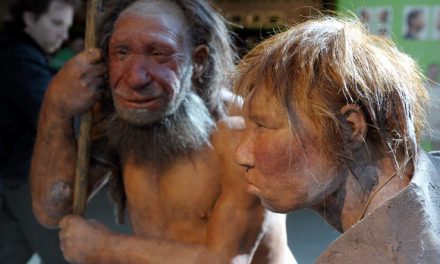 Tüzet használt az eszközkészítéshez a neandervölgyi ember