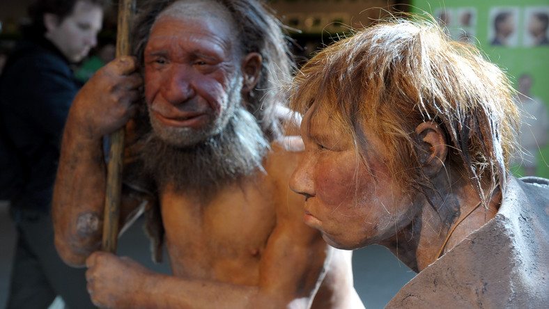 Tüzet használt az eszközkészítéshez a neandervölgyi ember