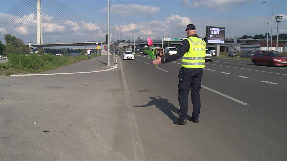Nőnap Szerbiában: Tulipánokat osztogatnak majd a közlekedési rendőrök a nőknek
