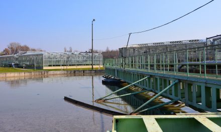Szerbiából is érkezik szennyvíziszap Magyarországra