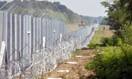 Szerbiai székhelyű cég építi a kerítést a szlovén-horvát határon