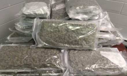 Tizenöt kiló marihuánát foglaltak le Röszkén
