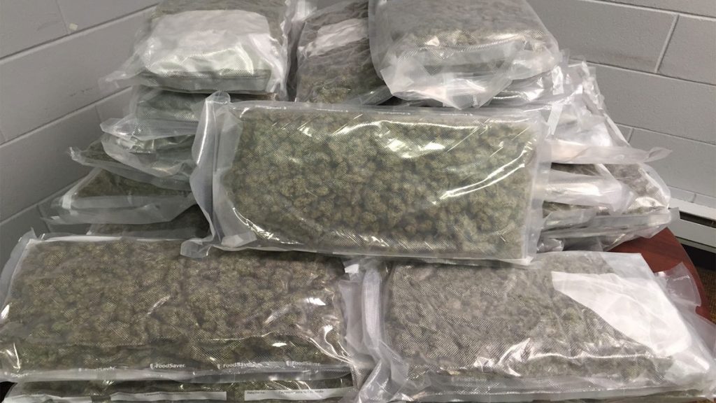 Tíz kilogramm marihuánát foglalt le a rendőrség