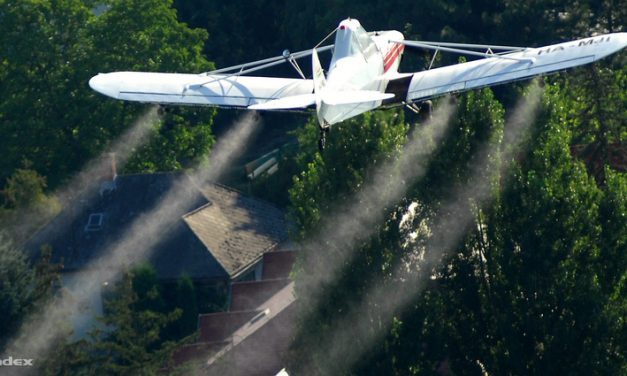 Tisza-mente: Ma kezdődik a szúnyogirtás