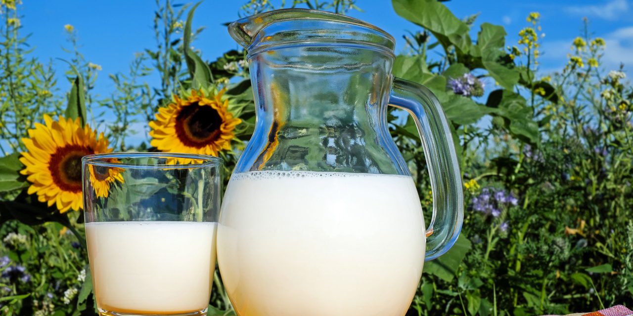 Csökkent a tejtermelés Szerbiában