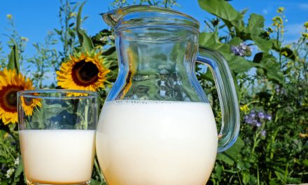 A termelők szerint a tejhiány java még csak most jön