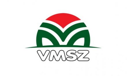 A VMSZ visszautasítja a palicsi szavazással kapcsolatos vádakat