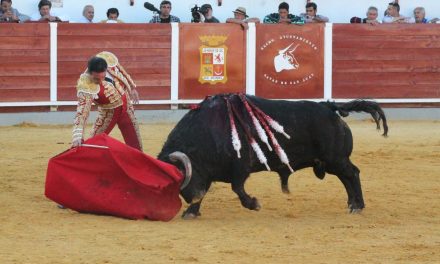 Felnyársalt a bika egy férfit egy spanyolországi bikafuttatáson
