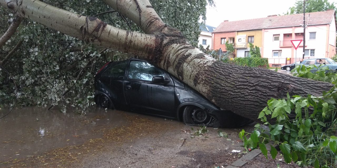 Szabadka: Tetőket tépett le, fákat döntött ki, autókat borított fel a vihar