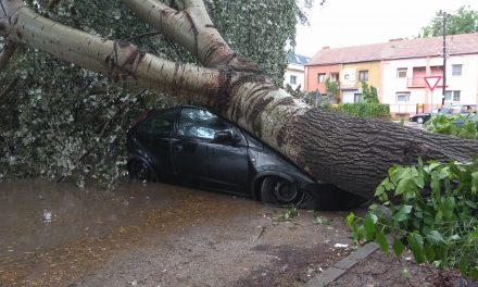 Szabadka: Tetőket tépett le, fákat döntött ki, autókat borított fel a vihar