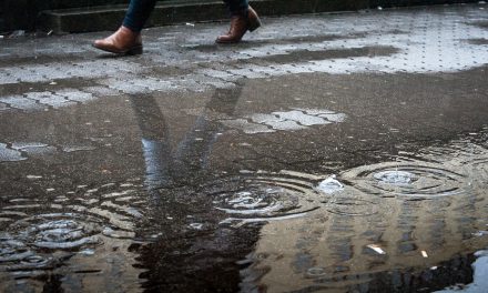 Rendkívüli állapotot hirdettek Kraljevóban az esőzések miatt