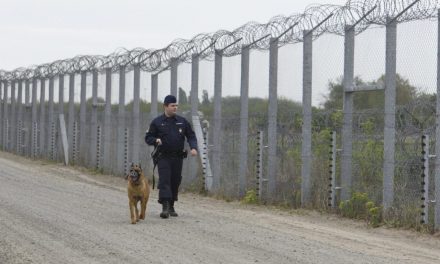 Tegnap mindössze egy határsértőt tartóztattak fel a magyar rendőrök