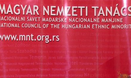 Fontos kérdésekről döntött a Magyar Nemzeti Tanács