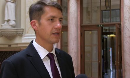 „A VMSZ elégedett a Szerb Haladó Párttal való együttműködéssel”