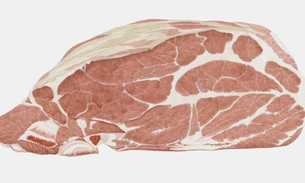 Trichinellózis: Veszélyes lehet a disznóhús