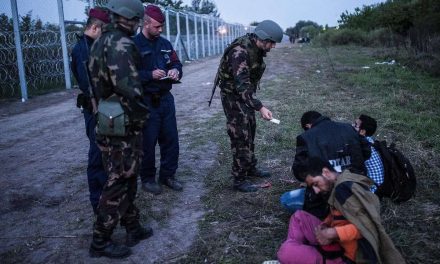 Koszovói határsértőket fogtak el Röszkénél