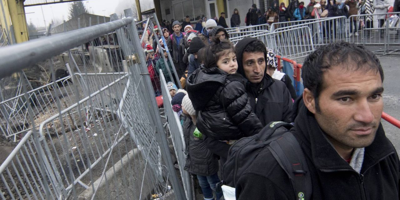 Menekültválság – A kitoloncolandók mintegy felét nem találják a német hatóságok