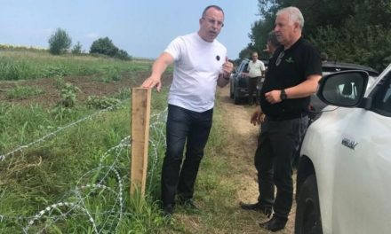 Afrikai sertéspestis: Bulgária kerítést épített a bolgár-román határra