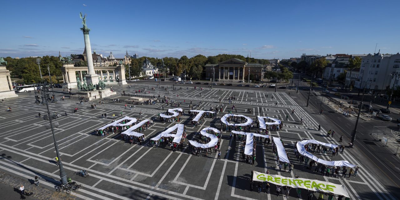 Az eldobható műanyag szatyrok betiltásáért tüntetett a Greenpeace Budapesten