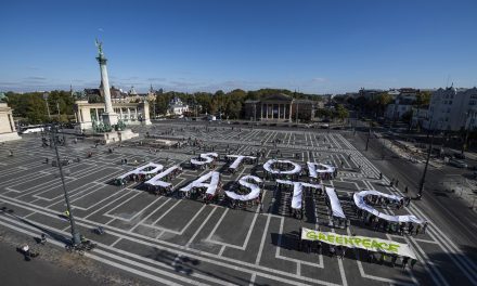 Az eldobható műanyag szatyrok betiltásáért tüntetett a Greenpeace Budapesten