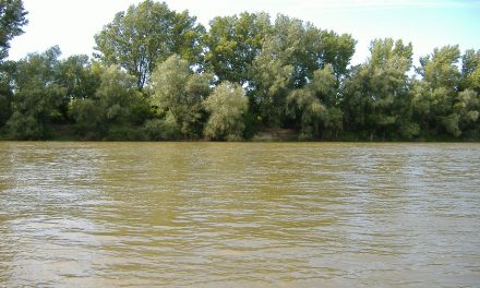 Harminc határsértőt fogtak el a Tisza árterében Szegednél