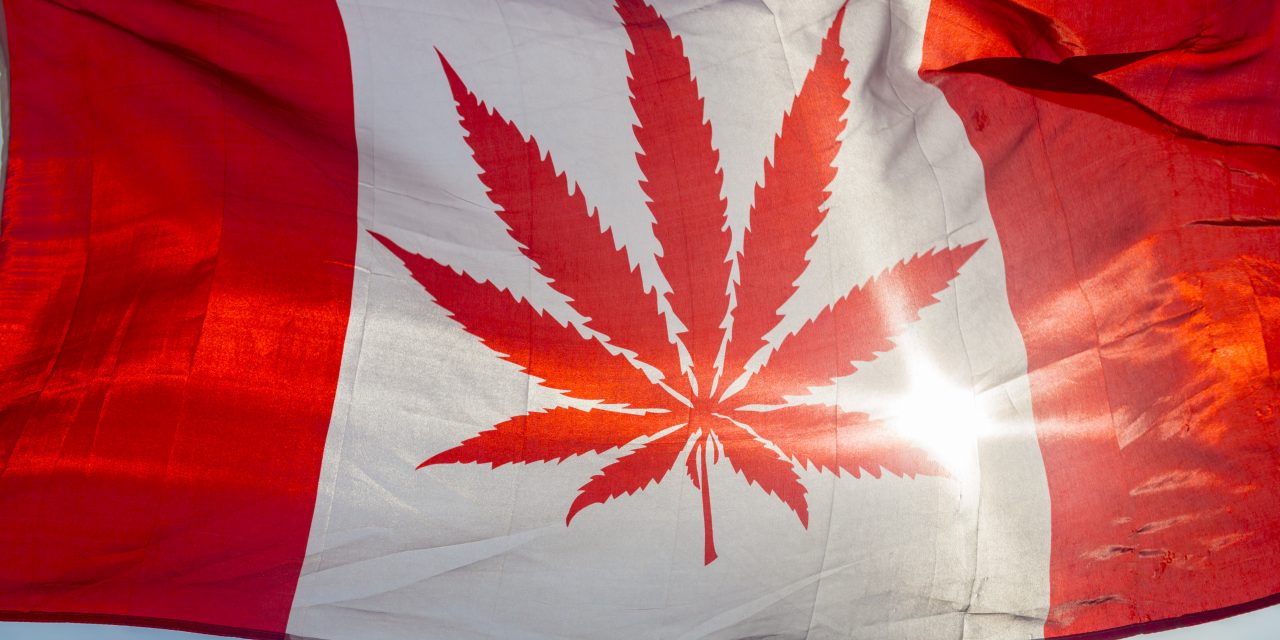 Fogynak a marihuánakészletek Kanadában