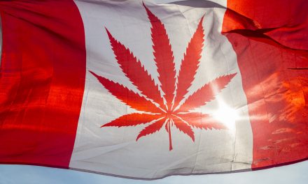Kanada legalizálta a marihuána használatát