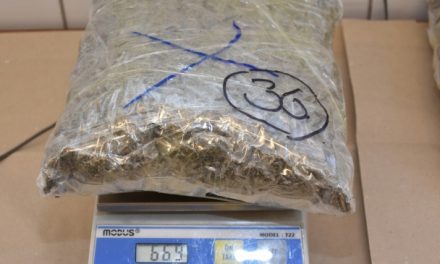 26 kilónyi marihuánát találtak egy koszovói autóbuszban Röszkénél