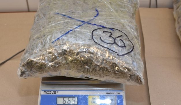 113 kilogramm marihuánát találtak egy kisbuszban Tompánál