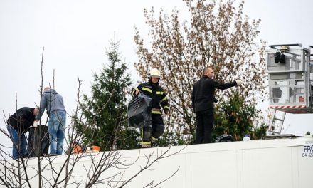 Belgrádi teherautó szállított 50 kiló füvet Zágrábba