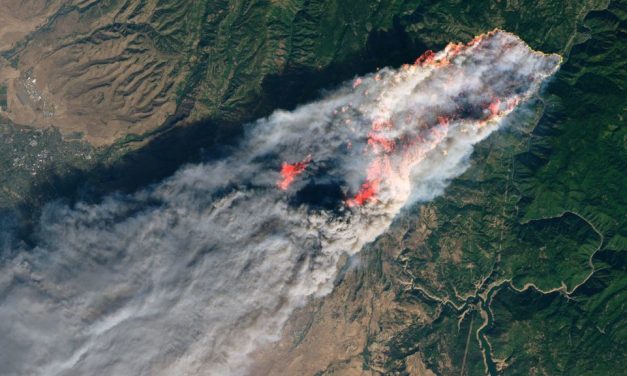 Kaliforniai tűz: 40 halálos áldozat, több mint 230-an eltűntek