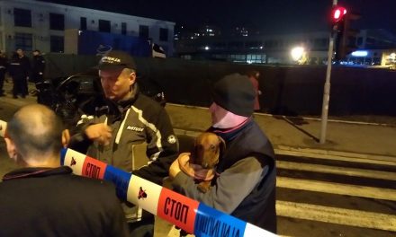 Felrobbant egy autó a Pupin-hídnál, meghalt a sofőr, kutyája túlélte