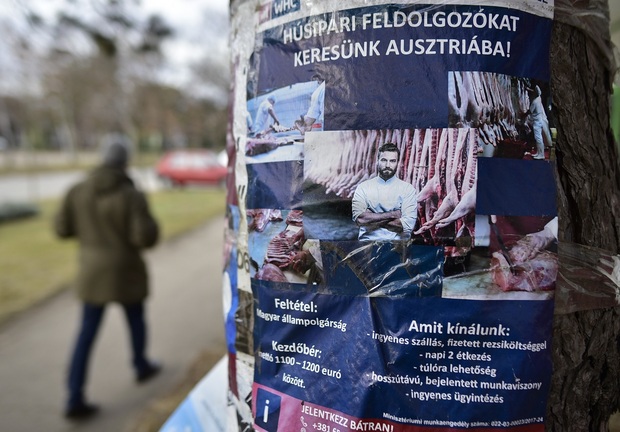 Kiürül a Vajdaság – Nyugat-Európába tartanak a magyar fiatalok