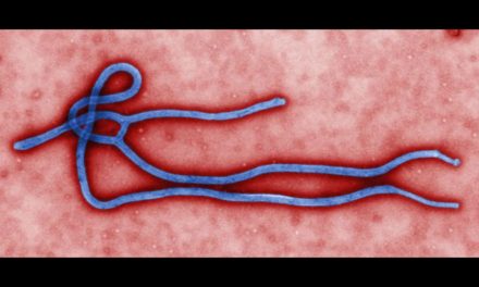 Egyre súlyosabb az ebolajárvány Kongóban
